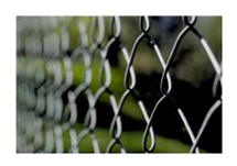 Wired Combed Fencing thumbnail 6